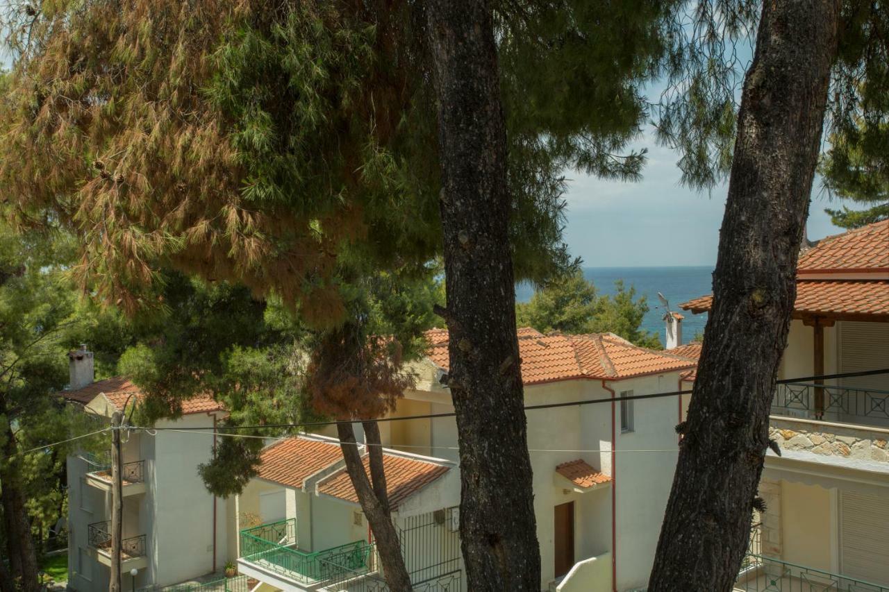 Izabella Sea Side Villa Síviri Eksteriør bilde